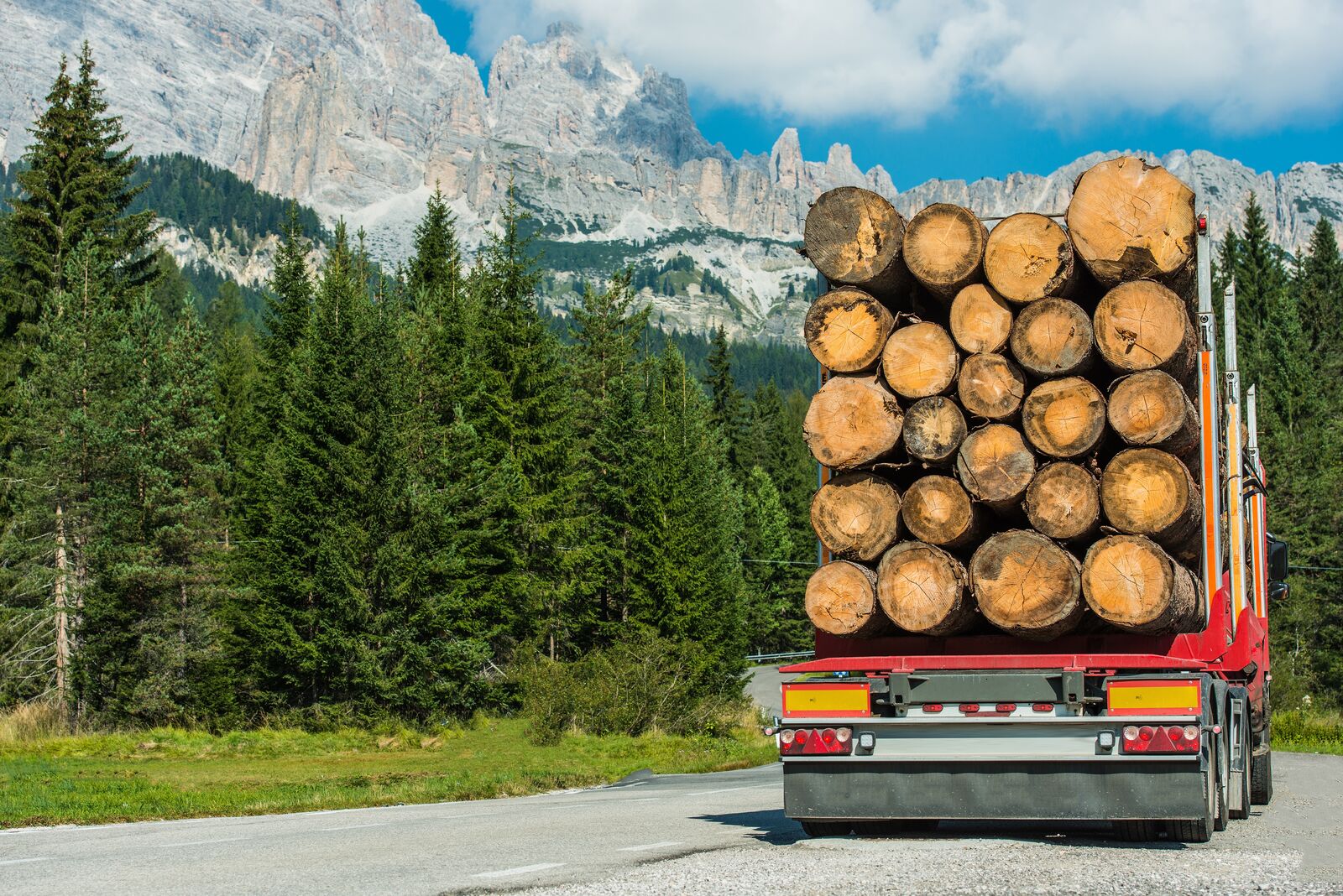 SGS sustenabilitate -Wood Logs Truck Delivery